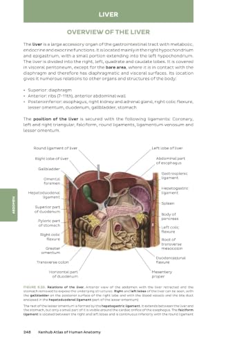 Kenhub Atlas of Human Anatomy