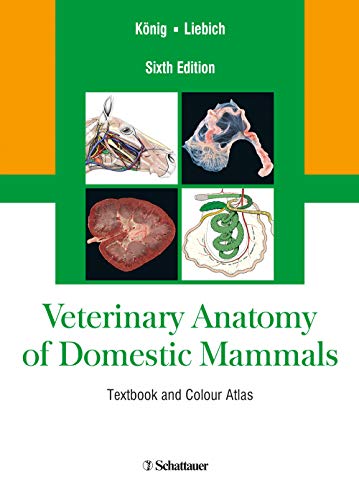 veterinary Anatomy of Domestic Mammals book cover