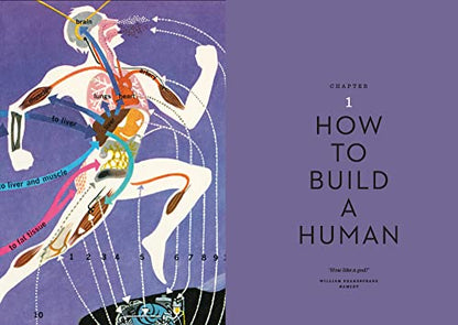 The Body Illustrated: A Guide for Occupants