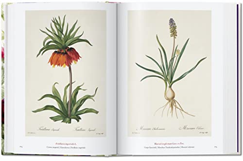 Taschen Bk Of Flowers
