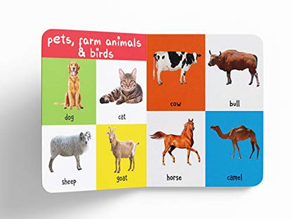 My First 100 Animals And Birds | Ages 0–5 Years | Early Learning | Padded Board Book For Kids | Wild Animals | Farm Animals | Pets | Vocabulary Building | Toddlers & Preschoolers | Latest Edition