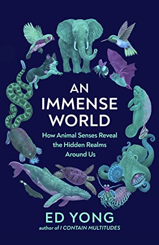 An Immense World book cover
