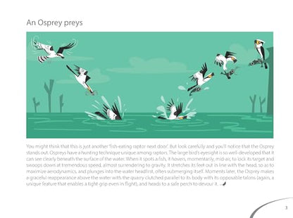Bird Business