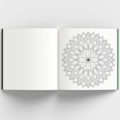 Meditative Mandalas: Adult Coloring Book: Meditative Mandalas for Relaxation & Stress Relief | A Mindfulness & Therapy Guide for Adults to Unwind & Boost Creativity [Select Learning]