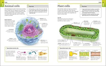 Super Simple Biology: The Ultimate Bitesize Study Guide