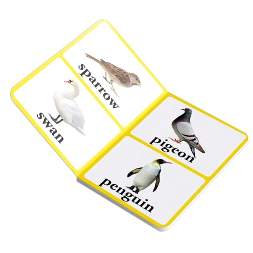 Birds – Early Learning Board Book with Large Font: Brightly Illustrated Bird Recognition Book for Kids | Big Board Books Series for Babies, Toddlers & Preschoolers | Learn About Sparrows, Parrots, Peacocks & More with Bold Text | Ages 0–5 Years