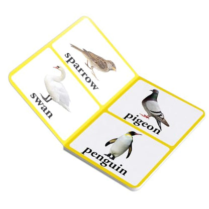 Birds – Early Learning Board Book with Large Font: Brightly Illustrated Bird Recognition Book for Kids | Big Board Books Series for Babies, Toddlers & Preschoolers | Learn About Sparrows, Parrots, Peacocks & More with Bold Text | Ages 0–5 Years