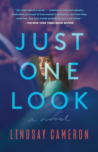 Just One Look: A Novel book cover