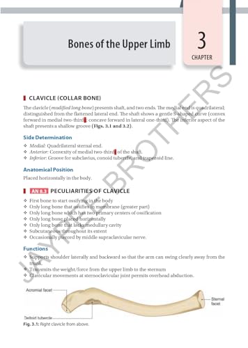 Inderbir Singh's Textbook of Human Osteology with Atlas of Muscle Attachments, 5/E for MBBS 1st Year Students | CBME-aligned Bone-by-Bone Atlas with Muscle, Ligament Tables and Viva Questionnaire