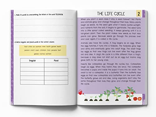 Super Fun Reading Comprehension Workbook: Level 2 | Activity Book for Kids | Ages 7–9 | Strengthen Reading & Thinking Skills with Engaging Passages