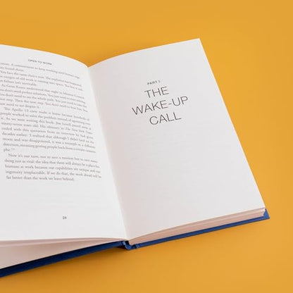 Open to Work: How to Get Ahead in the Age of Ai