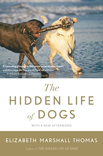 The Hidden Life Of Dogs book cover