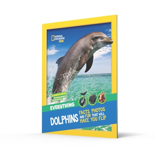 Everything: Dolphins
