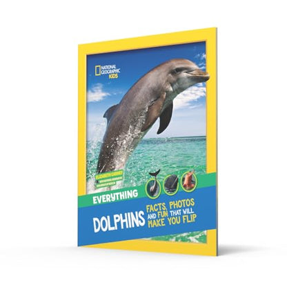Everything: Dolphins
