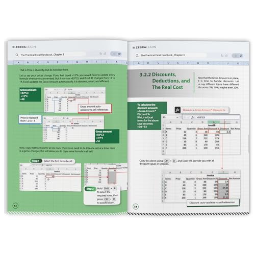 The Practical Excel Handbook: Excel for Finance, Business & Data Analysis | Build Dashboards, Financial Models & Reports | Real-World Skills for Corporate Jobs | ZebraLearn