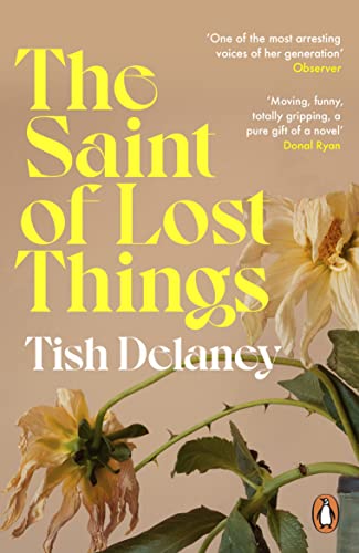 The Saint of Lost Things book cover