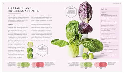 The Science of Flavor: Unlock the Secrets of Flavorful Cooking (The Science of Food)