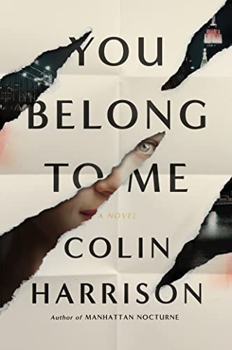 You Belong to Me: A Novel book cover