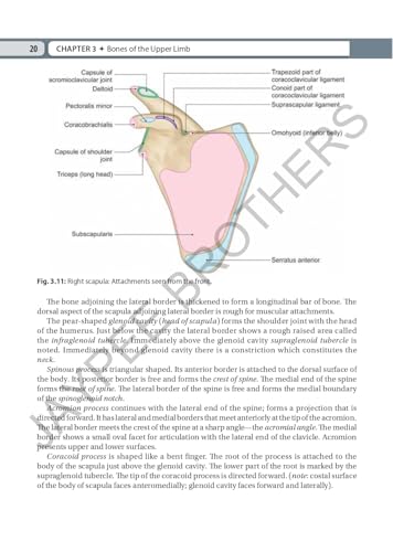 Inderbir Singh's Textbook of Human Osteology with Atlas of Muscle Attachments, 5/E for MBBS 1st Year Students | CBME-aligned Bone-by-Bone Atlas with Muscle, Ligament Tables and Viva Questionnaire