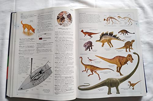 Illustrated Oxford Dictionary
