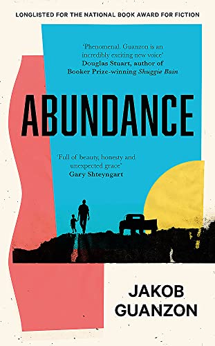 Abundance book cover