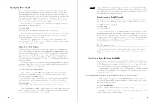 Linux Basics for Hackers, 2nd Edition: Getting Started with Networking, Scripting, and Security in Kali
