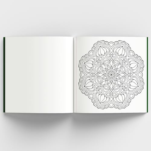 Meditative Mandalas: Adult Coloring Book: Meditative Mandalas for Relaxation & Stress Relief | A Mindfulness & Therapy Guide for Adults to Unwind & Boost Creativity [Select Learning]