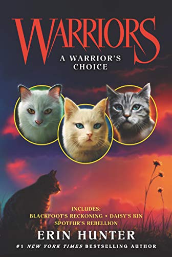 WARRIORS: A WARRIORS CHOICE book cover