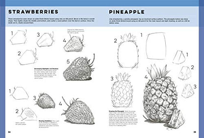 The Art of Basic Drawing