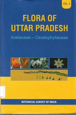 Flora of Uttar Pradesh: Araliaceae - Ceratophyllaceae Vol II book cover