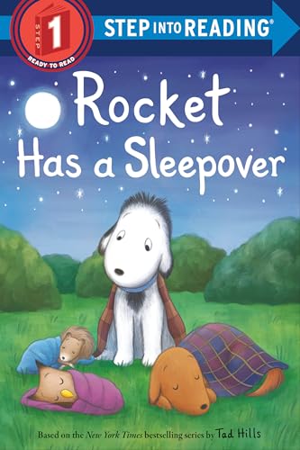 Rocket Has a Sleepover book cover