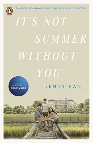 ItS Not Summer Without You (Tv Tie.In) book cover