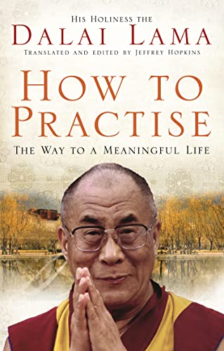 How To Practise : The Way To Meanugful Life book cover