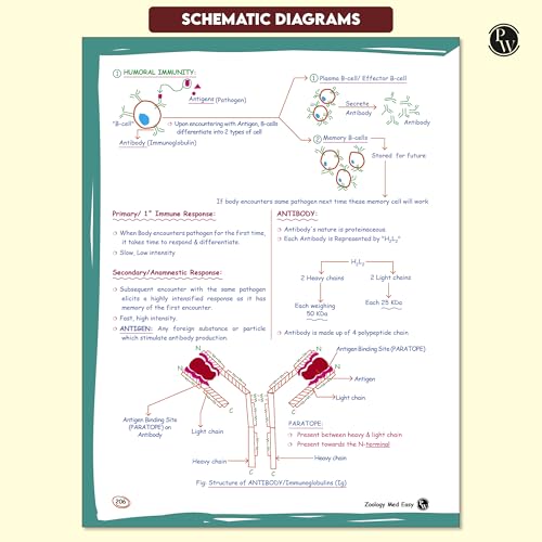PW Med Easy Zoology 2.0 and Botany Handwritten Notes Combo Set of 2 Books For NEET and Board Exams 2025-26 | Flowcharts, Mnemonics, Diagrams | NCERT Unit Overview