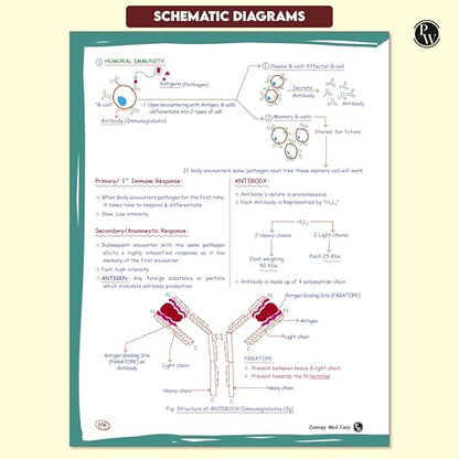 PW Med Easy Zoology 2.0 and Botany Handwritten Notes Combo Set of 2 Books For NEET and Board Exams 2025-26 | Flowcharts, Mnemonics, Diagrams | NCERT Unit Overview