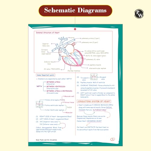 PW Zoology Med Easy For NEET and Board Exams 2024-25 | Flowcharts, Schematic Diagrams Samapti Sinha Mahapatra Handwritten Notes [Paperback] Samapti Sinha Mahapatra