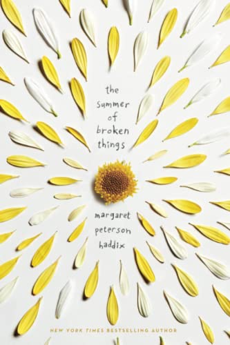 The Summer of Broken Things book cover