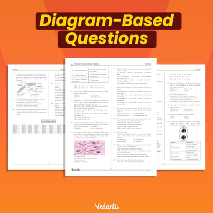 Vedantu DOPA NEET Biology 2027 | Botany & Zoology Combo Set of 2 | Daily Objective Practice Assignment | Chapter-Wise MCQs, Diagram-Based Questions, Latest NEET Syllabus & Answer Keys