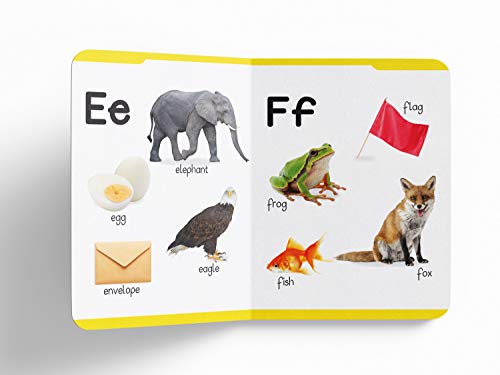 My First Padded Book of Alphabet: Early Learning Board Book for Kids | Learn ABC with Bright and Colorful Pictures | Durable Padded Board Book for Babies, Toddlers & Preschoolers | Ages 0–5 Years