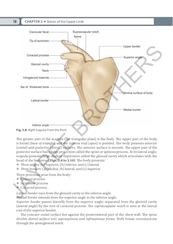 Inderbir Singh's Textbook of Human Osteology with Atlas of Muscle Attachments, 5/E for MBBS 1st Year Students | CBME-aligned Bone-by-Bone Atlas with Muscle, Ligament Tables and Viva Questionnaire