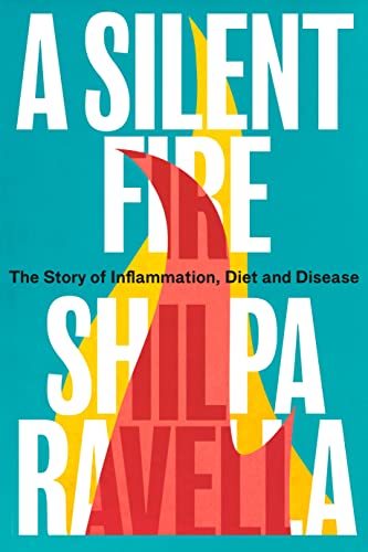 A Silent Fire (Lead Title) book cover
