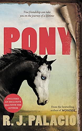 Pony book cover