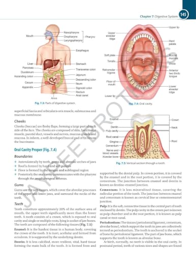 Textbook of Anatomy & Physiology for GNM Students, 3/E | As per INC Syllabus | Diagrams, Dissection Photographs, Memory Joggers and Normal Values