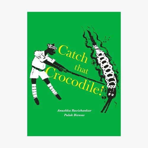 Catch that Crocodile book cover