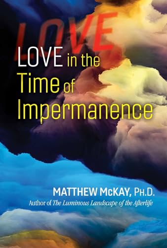 Love in the Time of Impermanence book cover