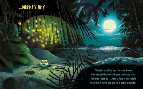 The Turtle Who Turned the Tide: From The World of Rachel Bright & Jim Field