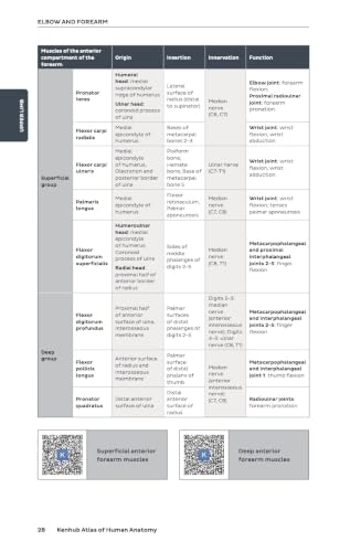 Kenhub Atlas of Human Anatomy