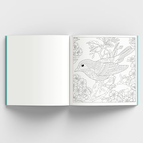 Enchanting Nature: Coloring Book for Adults with Tear out Sheets | Fun and Relaxing Doodle Designs