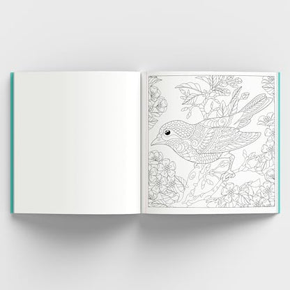 Enchanting Nature: Coloring Book for Adults with Tear out Sheets | Fun and Relaxing Doodle Designs