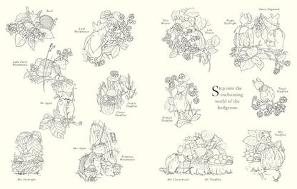 Brambly Hedge: Festive Colouring Book: A magically festive colouring book for children and adults alike packed with classic illustrations for all